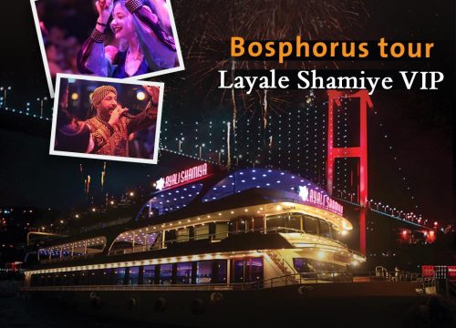 Dinner Cruise Tour on Bosphorus, Turkish Night Show in Istanbul