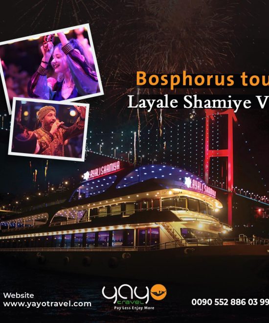 Dinner Cruise Tour on Bosphorus, Turkish Night Show in Istanbul